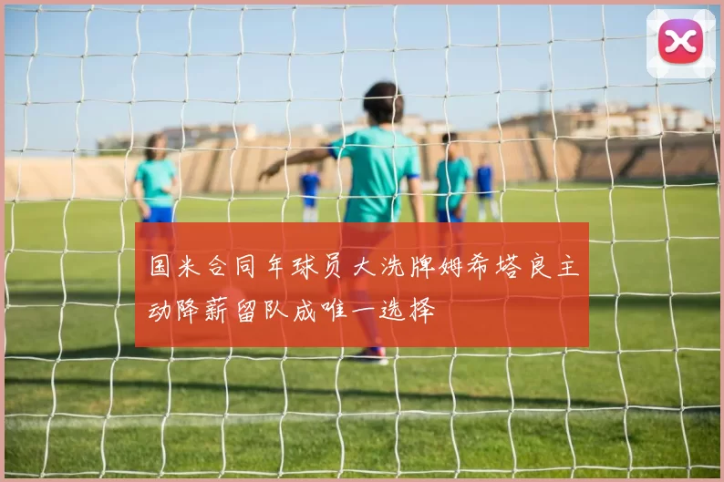 国米合同年球员大洗牌姆希塔良主动降薪留队成唯一选择